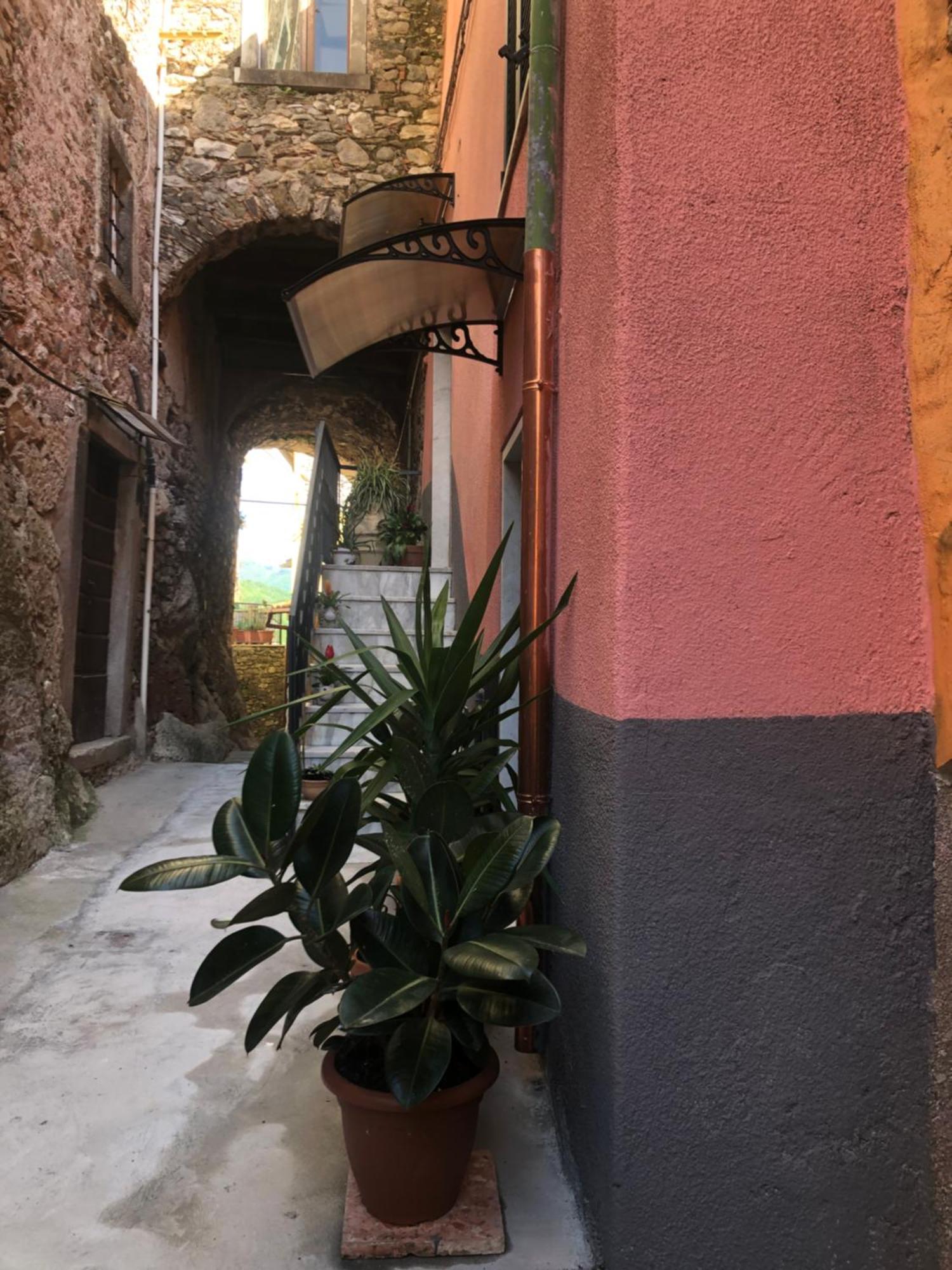 La Casa Nel Borgo Villa Gragnana  Eksteriør bilde